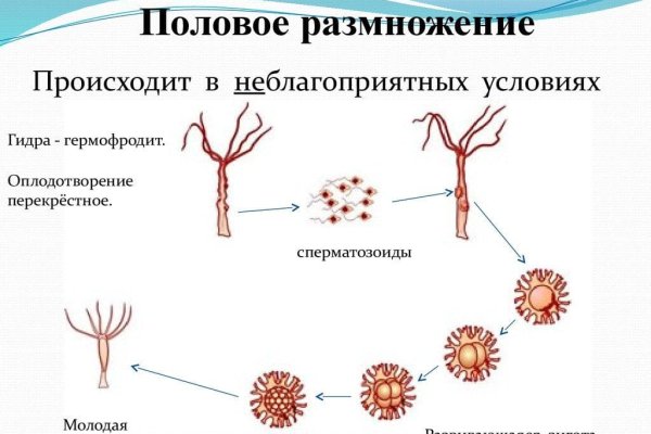 Услуги даркнета