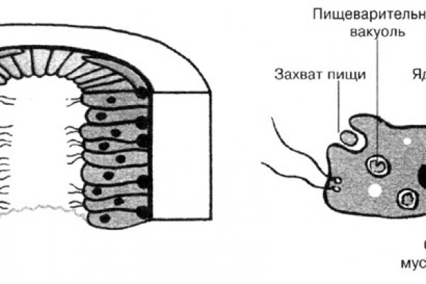 Кракен ссылка 2 веб