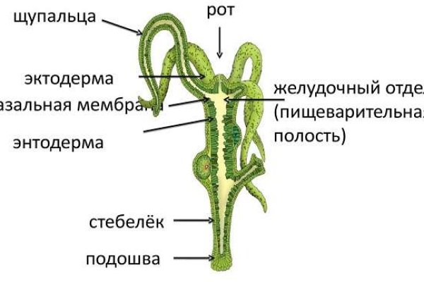 Ссылка на kraken торговая площадка